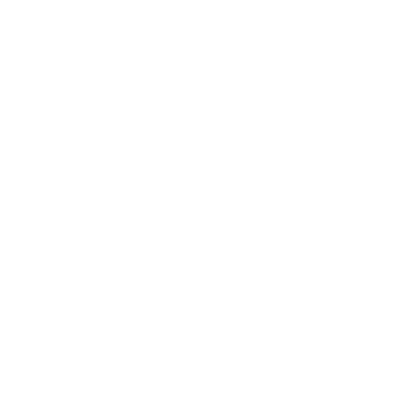 THSADA Logo
