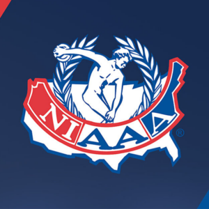 NIAAA Logo