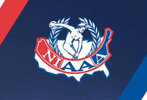 NIAAA Logo